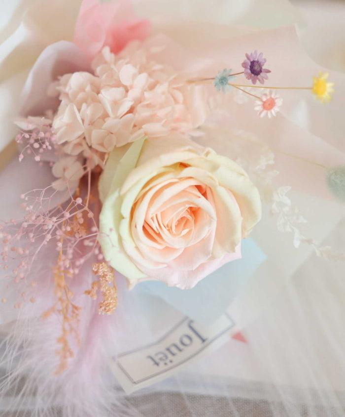 【限量】人氣糖果色 Only You 單枝厄瓜多爾玫瑰