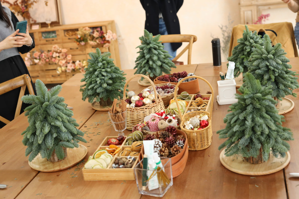{手作插樹班} 2025 聖誕樹工作坊|Handmade Christmas Tree Workshop