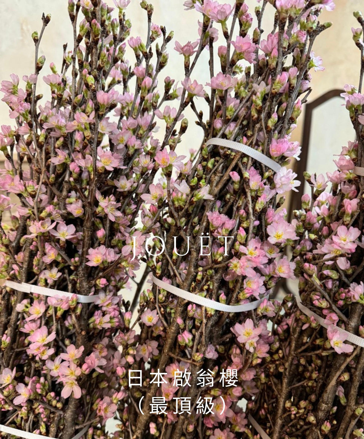 日本直送.山形縣啟翁櫻(最頂級)