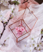 日本櫻花 𝐑𝐎𝐒𝐄 𝐆𝐎𝐋𝐃 ❀ | 保鮮花