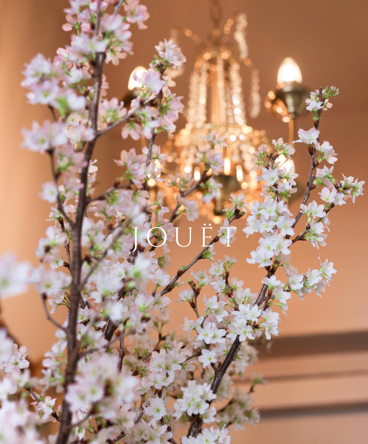 日本直送．山形縣啟翁櫻(頂級)