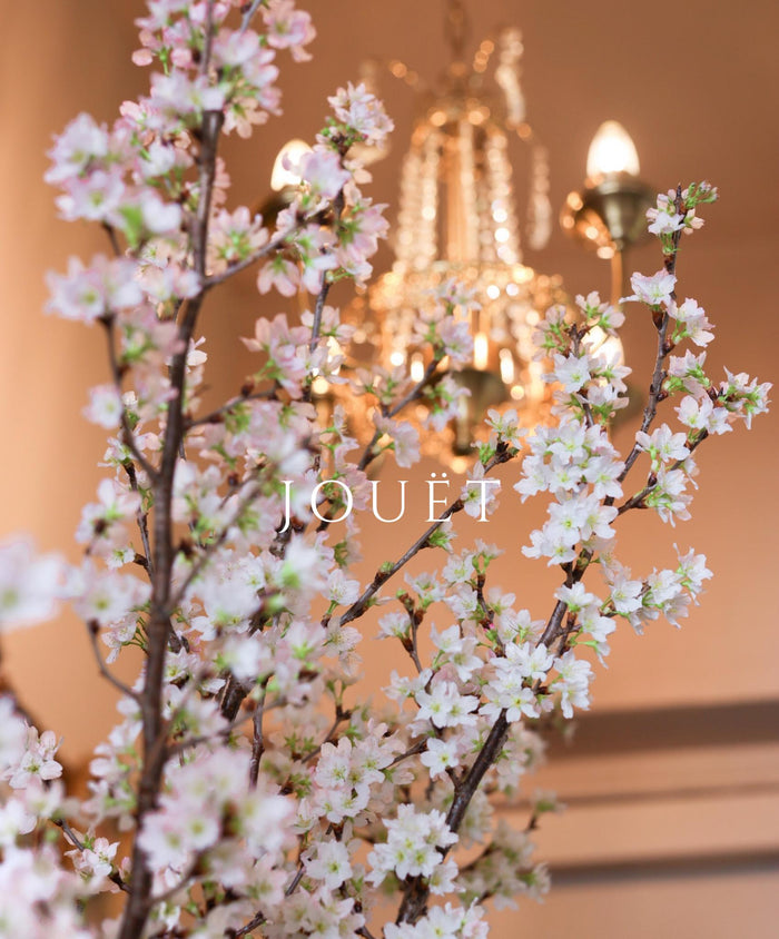 日本直送．山形縣啟翁櫻(頂級)