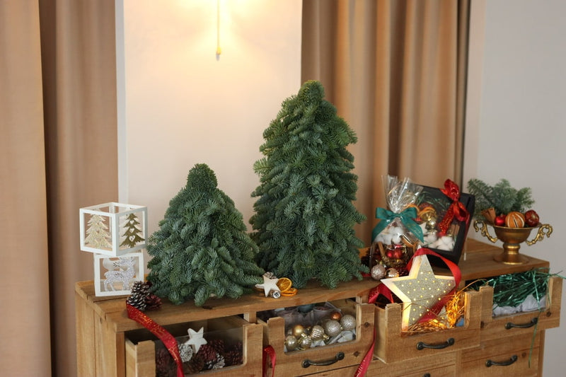 [DIY kit] 荷蘭直送 迷你聖誕樹 Pre-Order