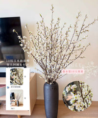 日本直送．山形縣啟翁櫻(頂級)